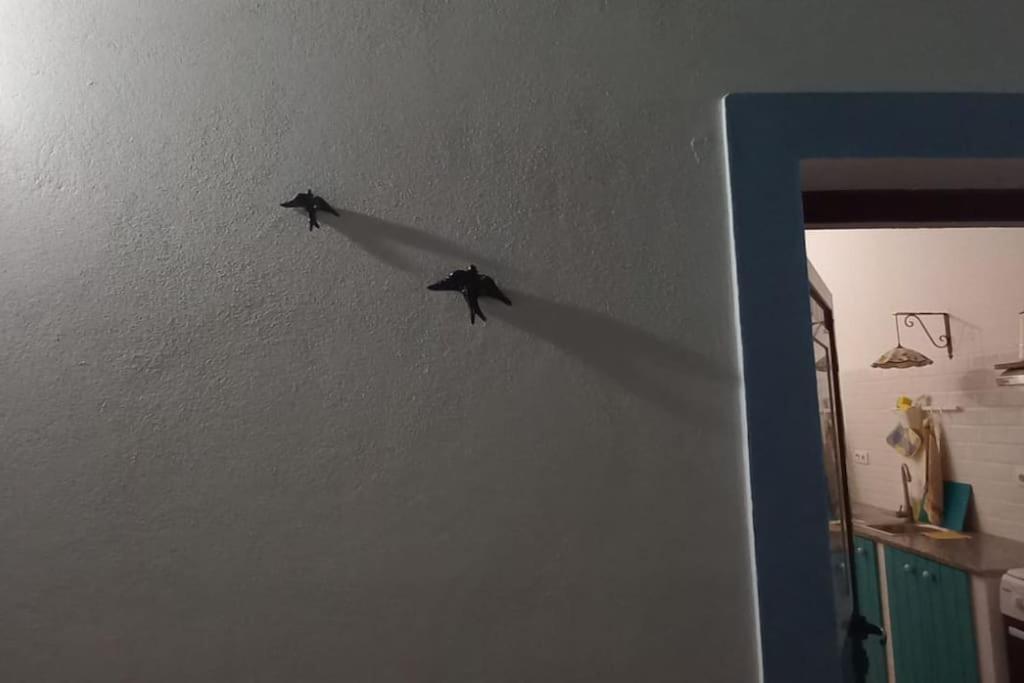 アルベルノア Casa Margaridaヴィラ エクステリア 写真